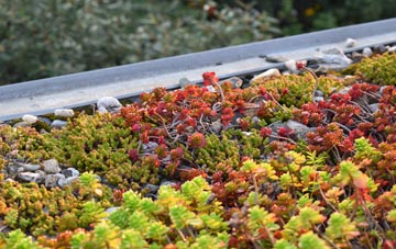 the cost of Pimperne green roof installation