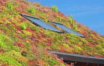 Pimperne living roof systems